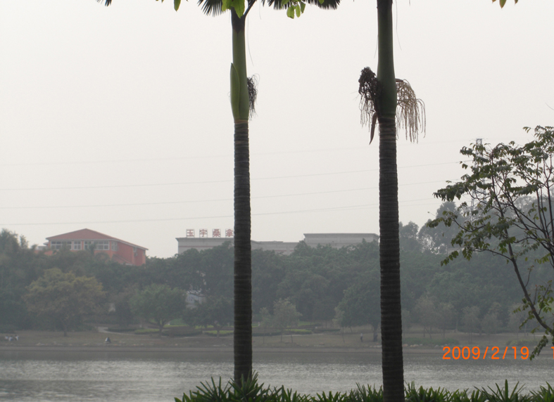 湖对面看活动场所