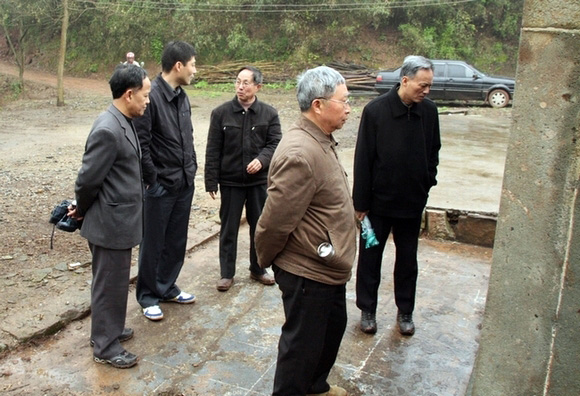 前来参加祭祀仪式歙县政府胡县长和专家教授们在细看碑文。