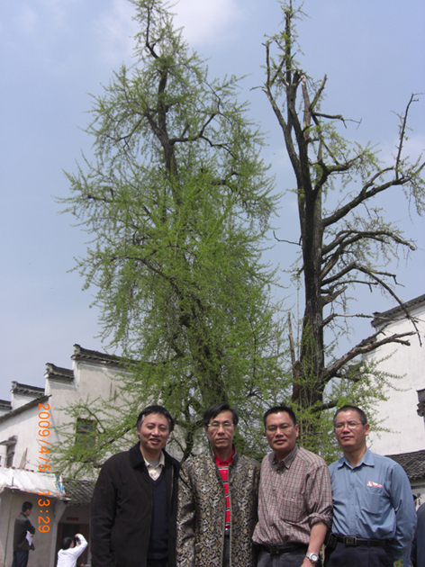 庆丰、太源、东红、汪俊在千年古银杏树前合影