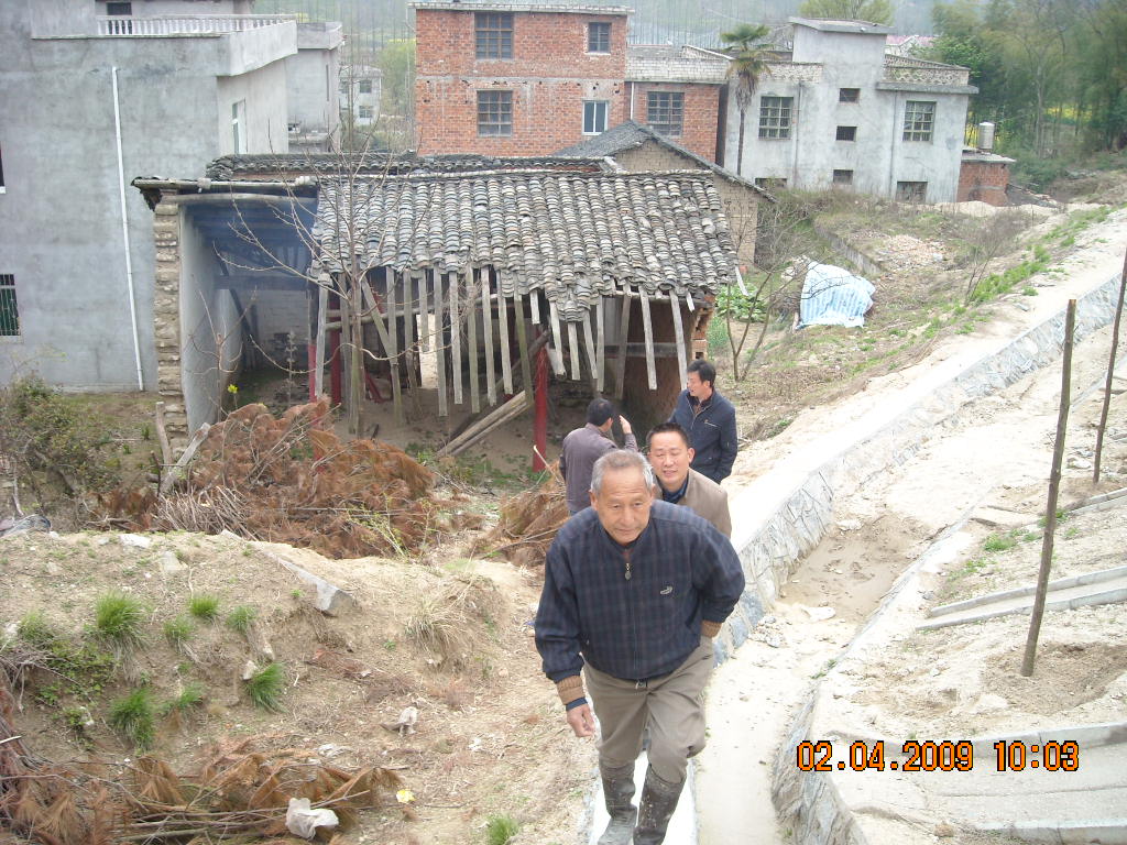 我金寨一行4人在汪氏滋户宗祠后山武英高道路边