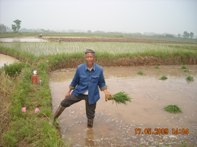 高镇乡洪山村岗洼组汪世华[90世]62岁二个儿