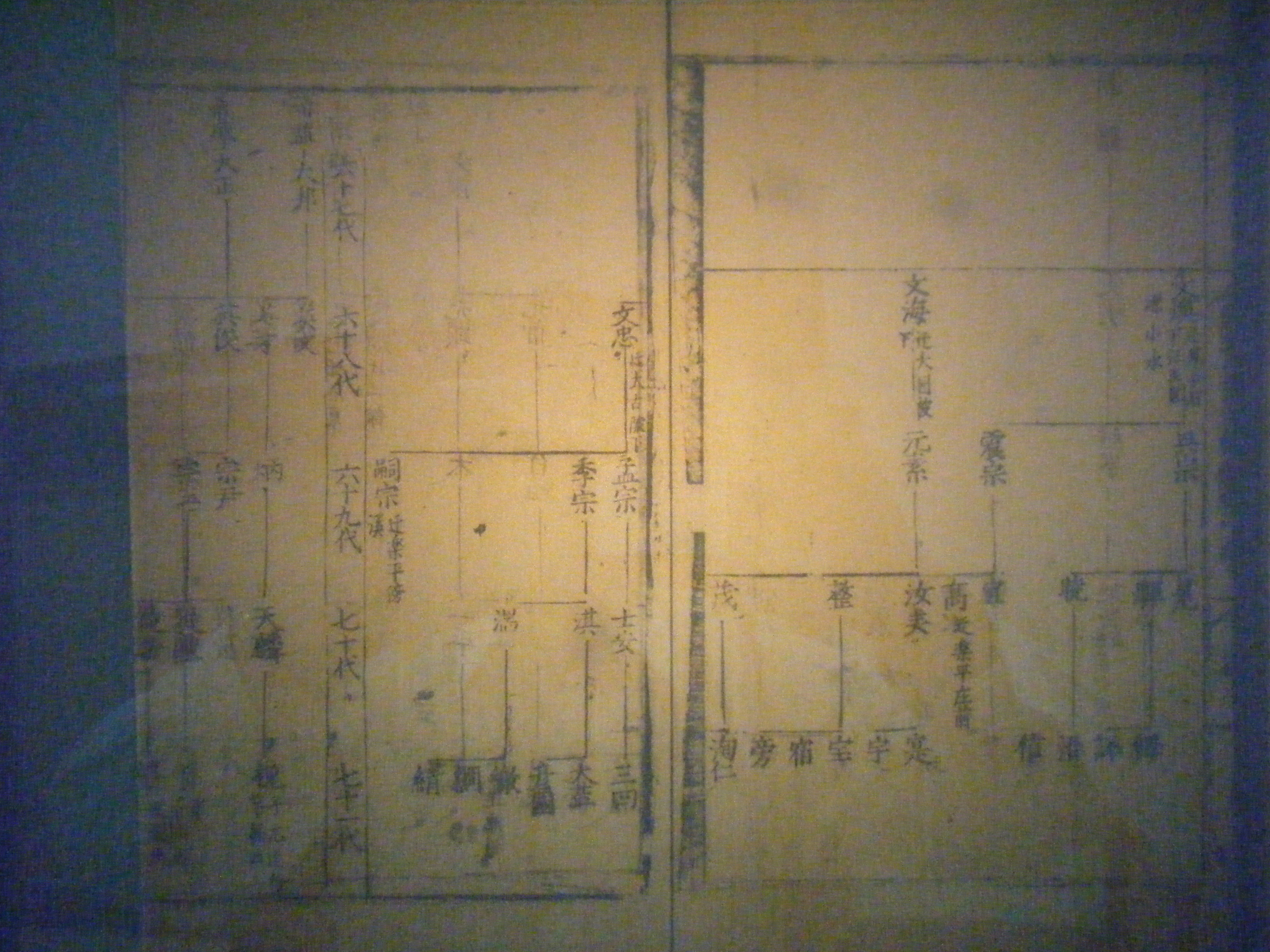 皖图馆藏-汪氏迁派实录提纲