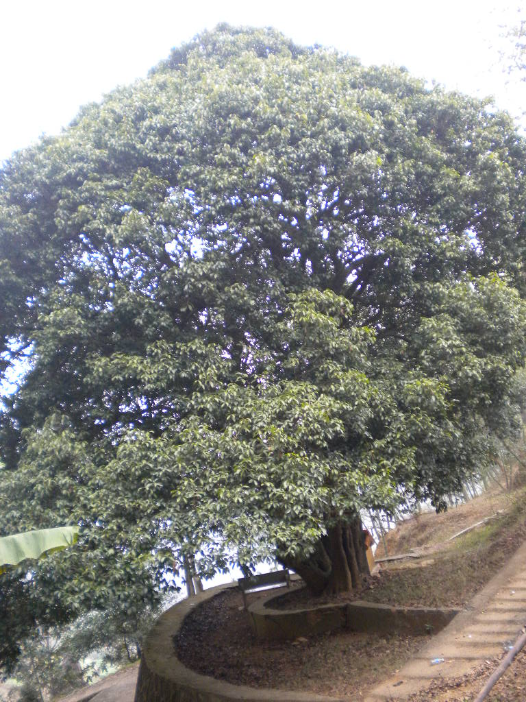 我的照片 025.jpg