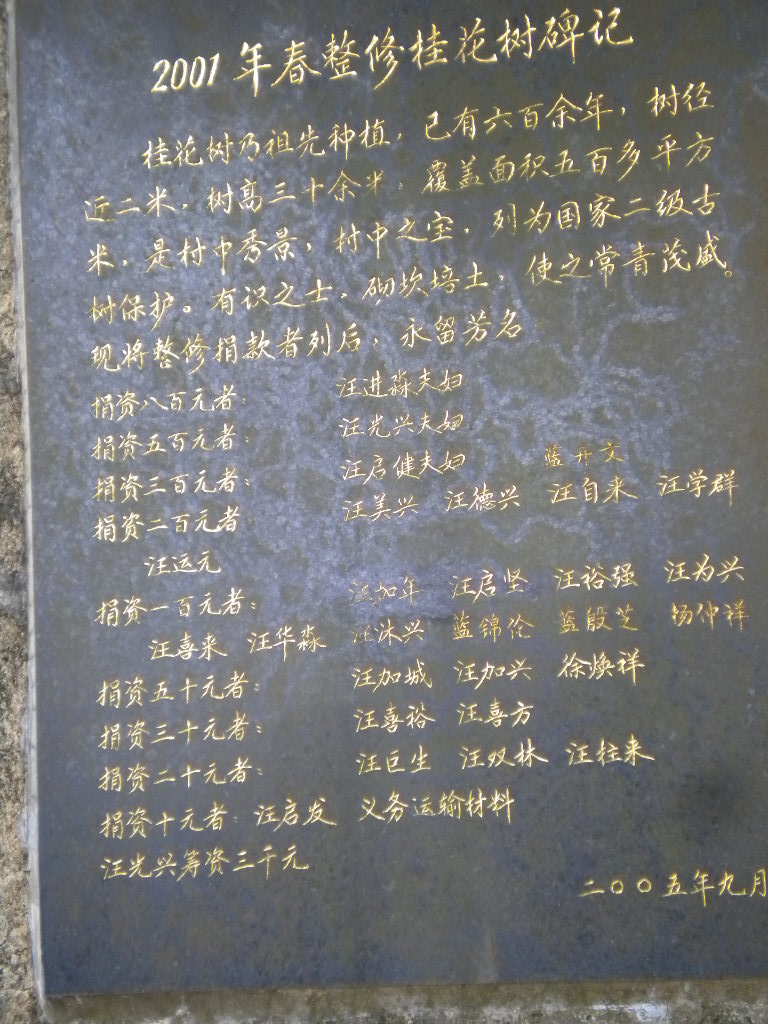 我的照片 026.jpg