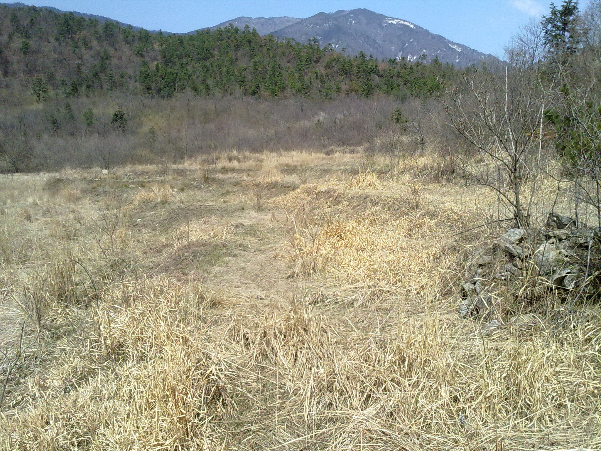 田庄里长满杂草