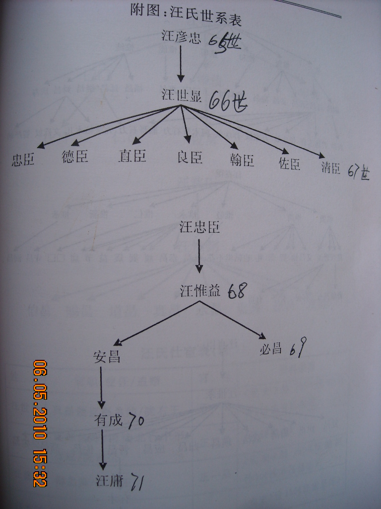 汪世显家族世系