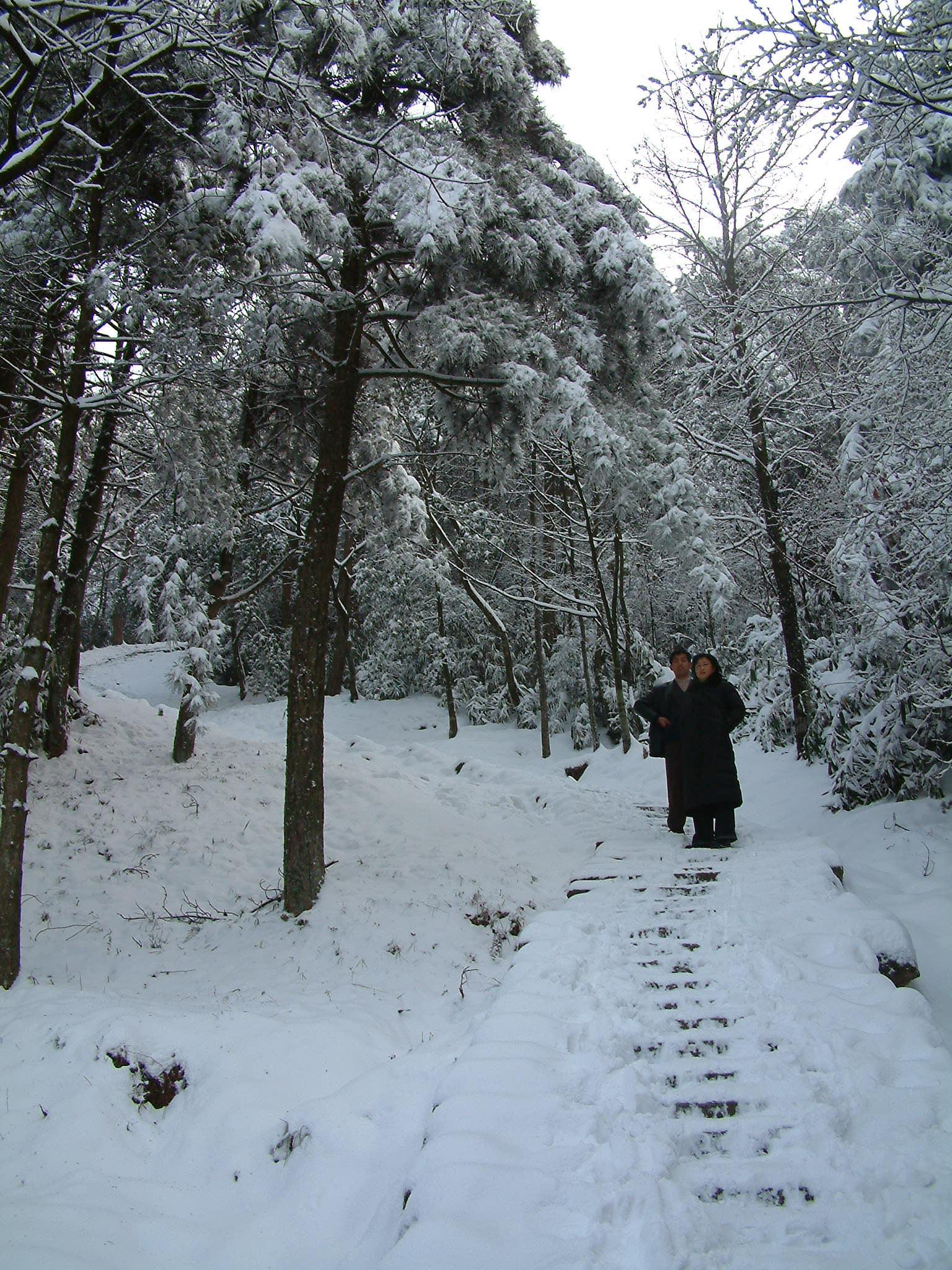 2004年2月，新年踏雪 上摩天岭