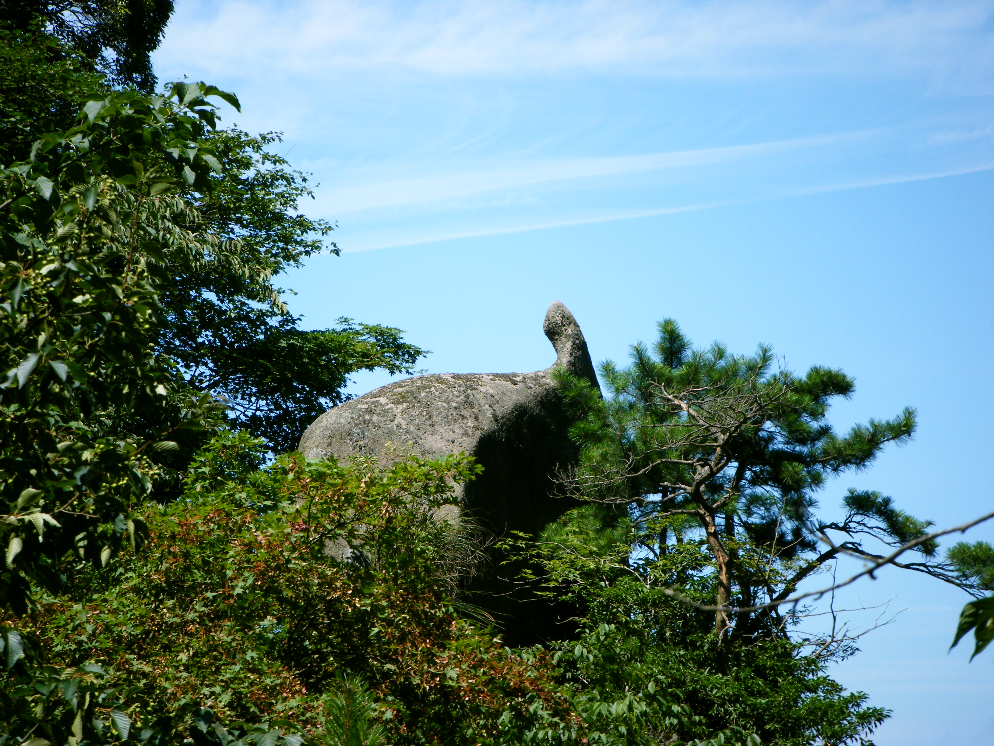 2008年8月，中景 金龟朝北斗