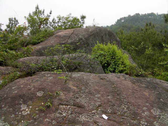 100507花山 (10).JPG