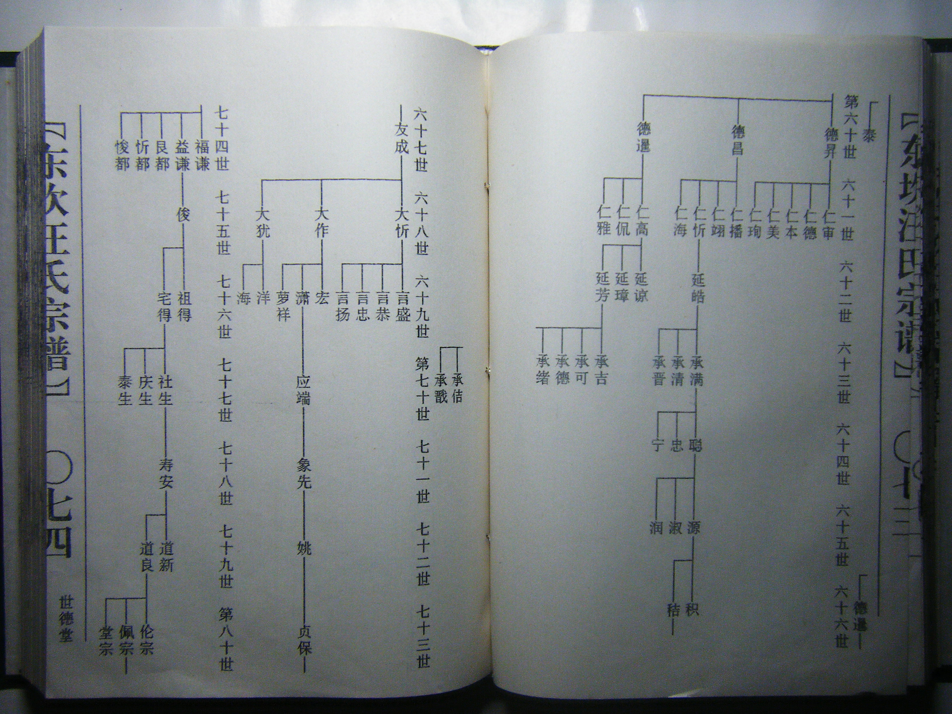 60—80世 世系图