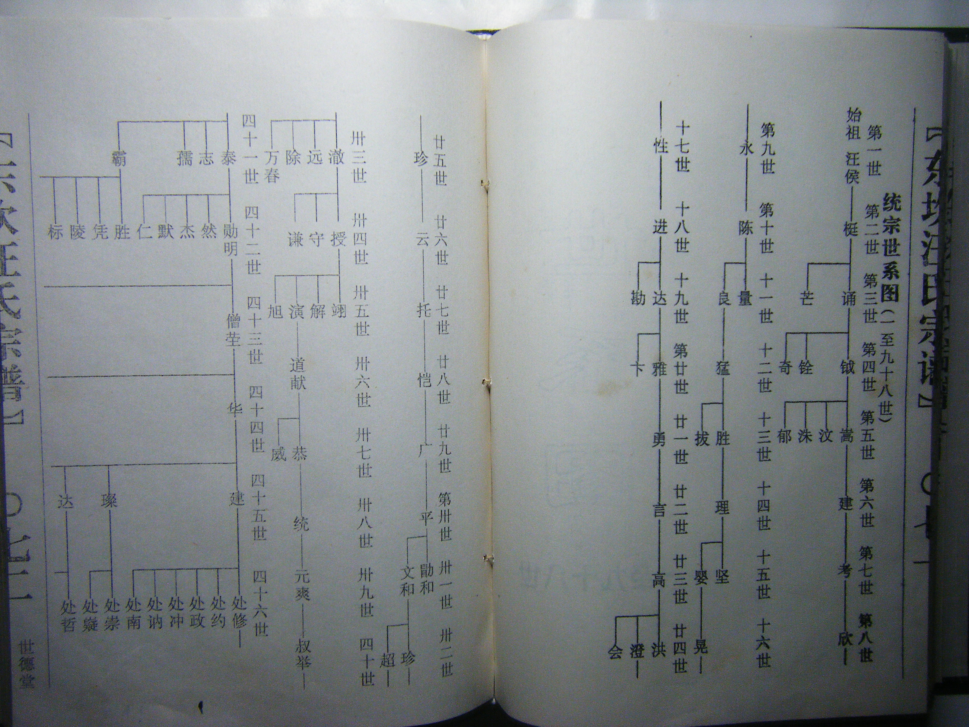 01—46世 世系图