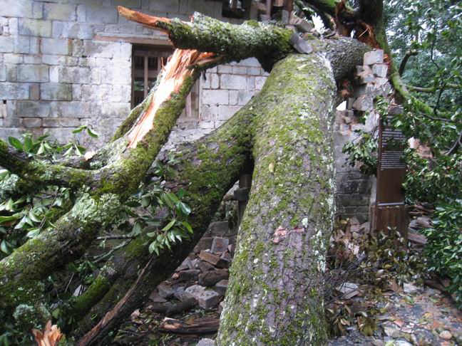 调整大小 IMG_2243.JPG