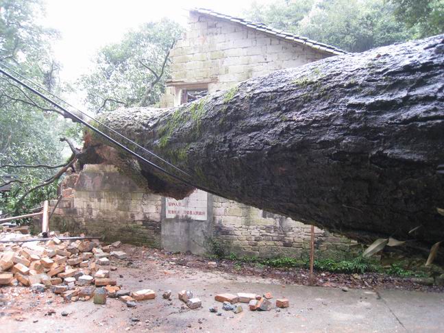 调整大小 IMG_2245.JPG