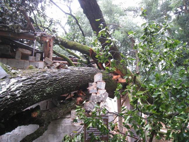 调整大小 IMG_2242.JPG