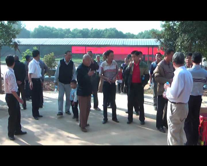 本地宗亲陆续进入会场