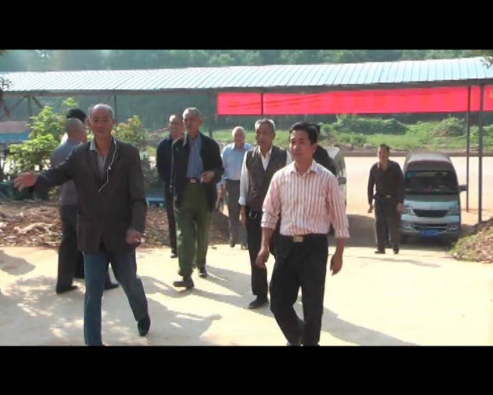 本地宗亲源源不断地进入会埸