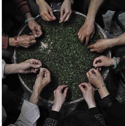 中国茶叶第一镇——感德风景