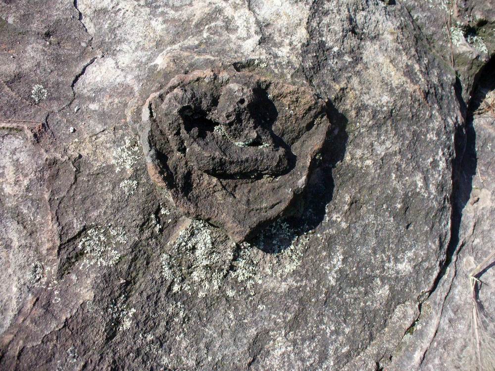 调整大小 心形岩花.JPG