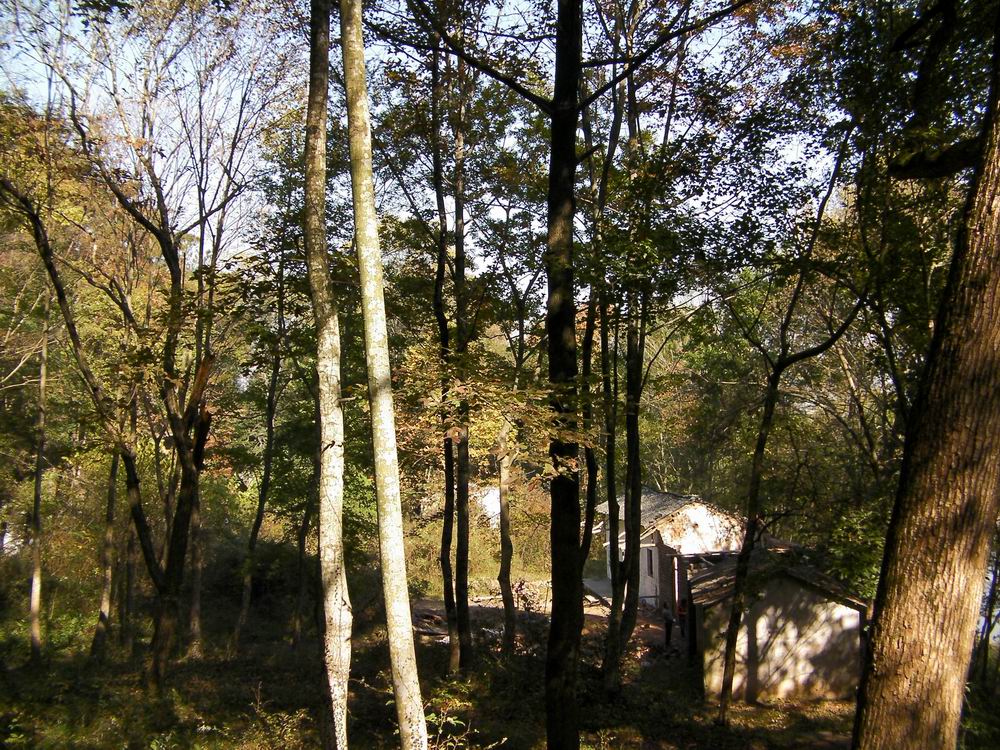 调整大小 鬲山上殿原址？.JPG