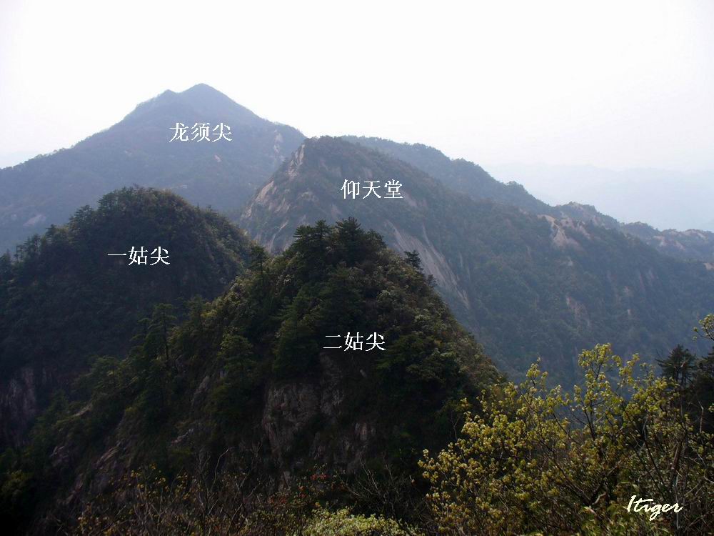 070407龙须尖、仰天堂、一尖、二尖 (2).JPG