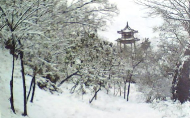 雪后的临清龙山