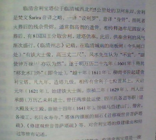 临清舍利宝塔简介：