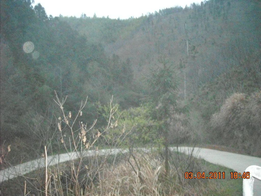 山路弯弯也隔不断汪氏文化传播