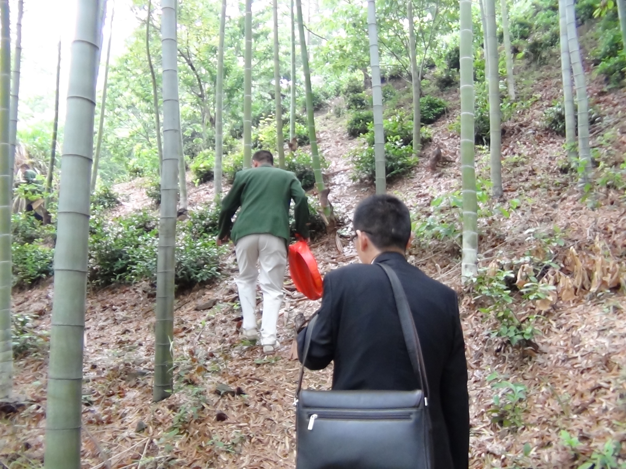 直奔德运父亲坟地