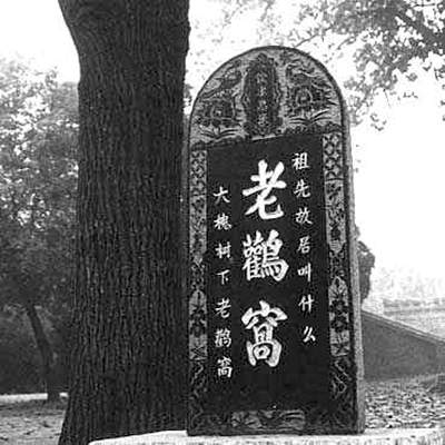 大槐树根纪念 老鹳窝