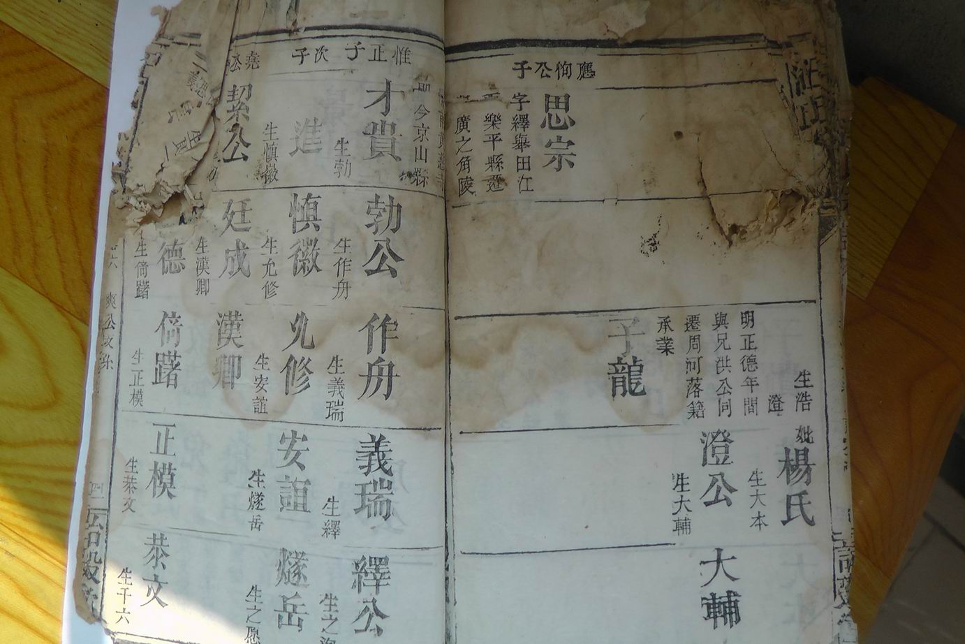 调整大小 S1040037.JPG