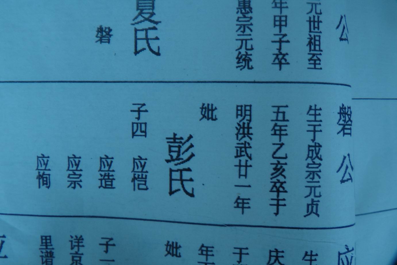 调整大小 S1040039.JPG