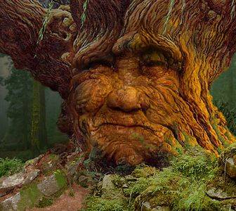 大自然的魅力——1