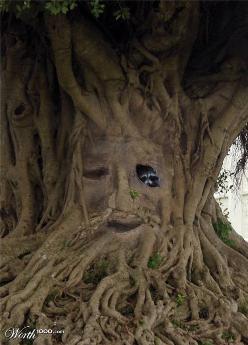 大自然的魅力—5