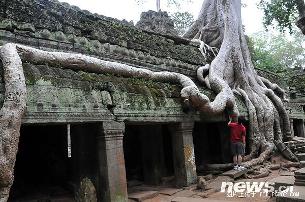 大自然的魅力-3
