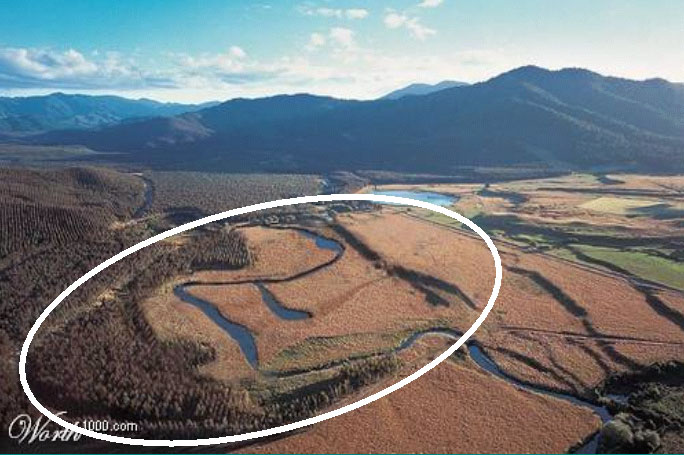 大自然的魅力—3