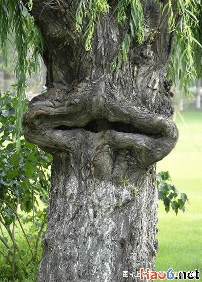 大自然的魅力-4