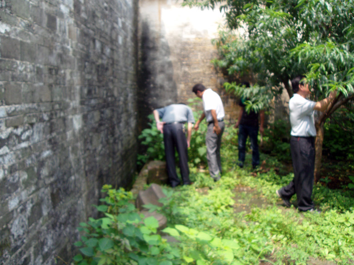 后院内看到当地“白蚁防治”人员在清理蚁窝。