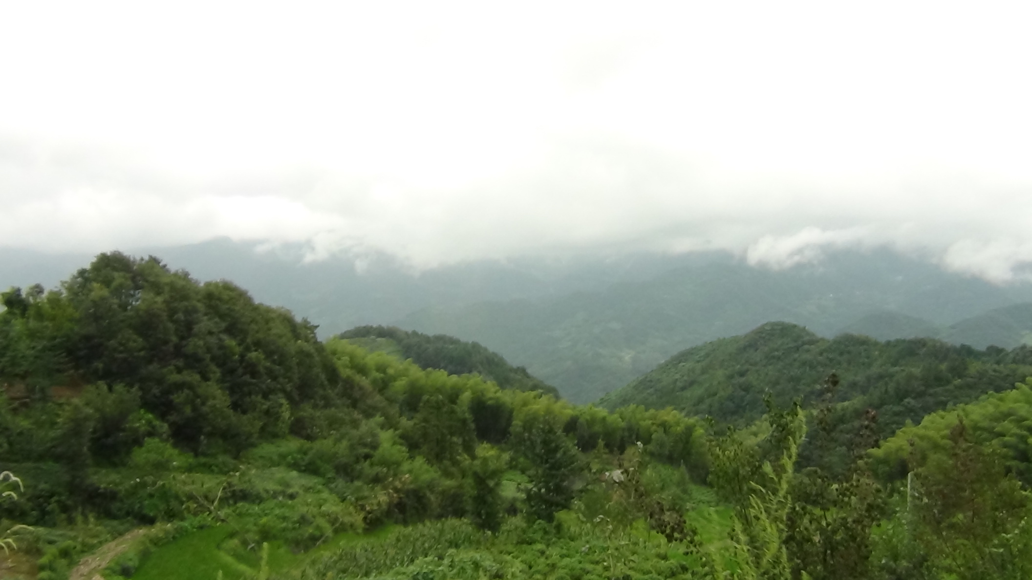 看不见远山象---