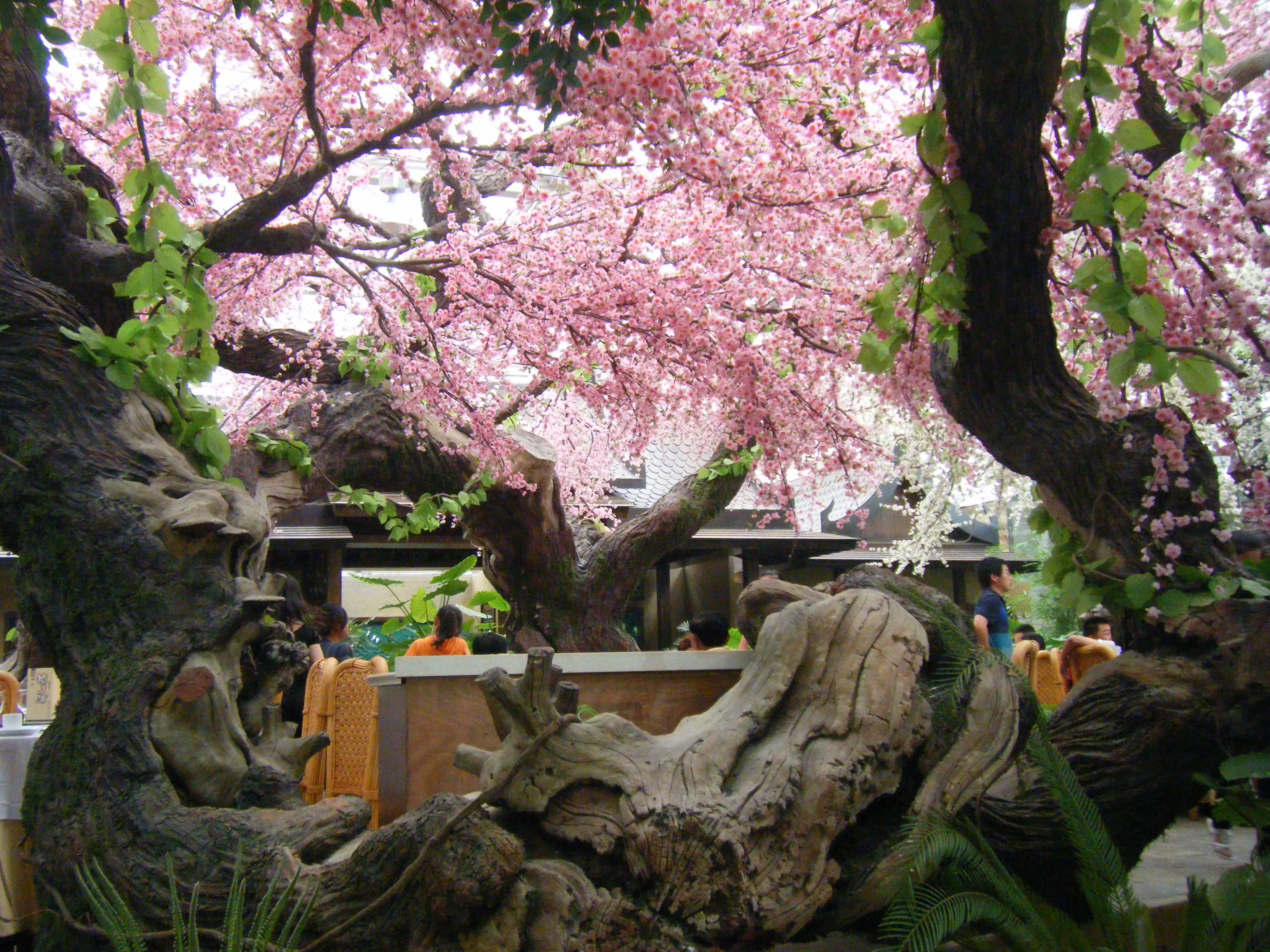 南陵大浦乡村世界——大浦绿洲生态美食园