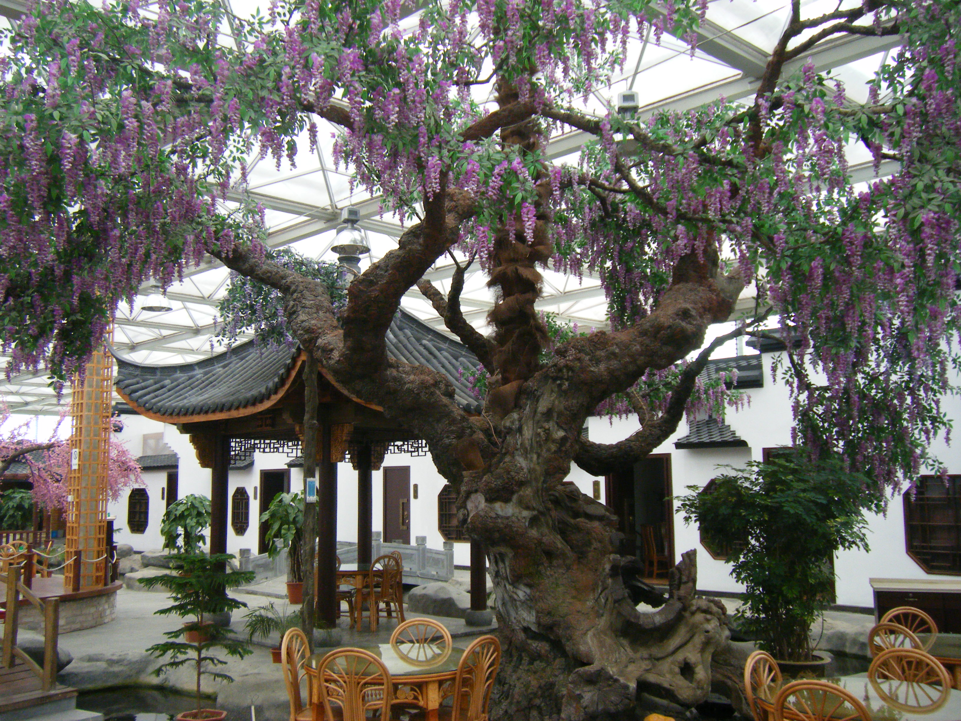 南陵大浦乡村世界——大浦绿洲生态美食园 043.jpg