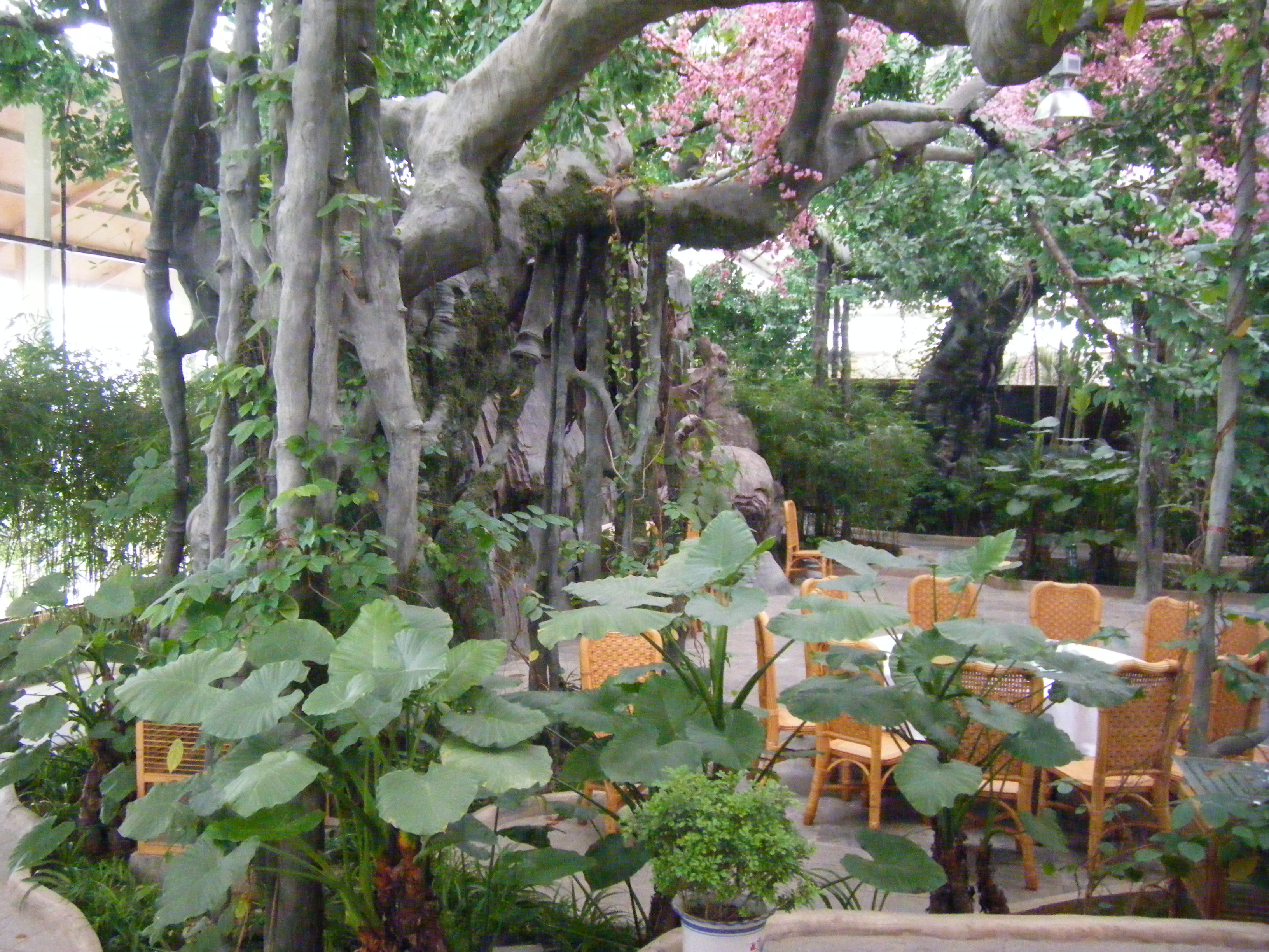 南陵大浦乡村世界——大浦绿洲生态美食园 027.jpg