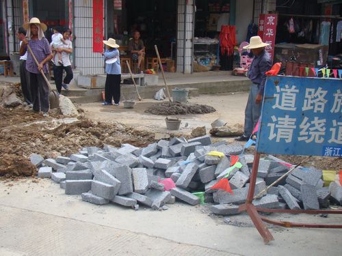 48省道两侧绿化