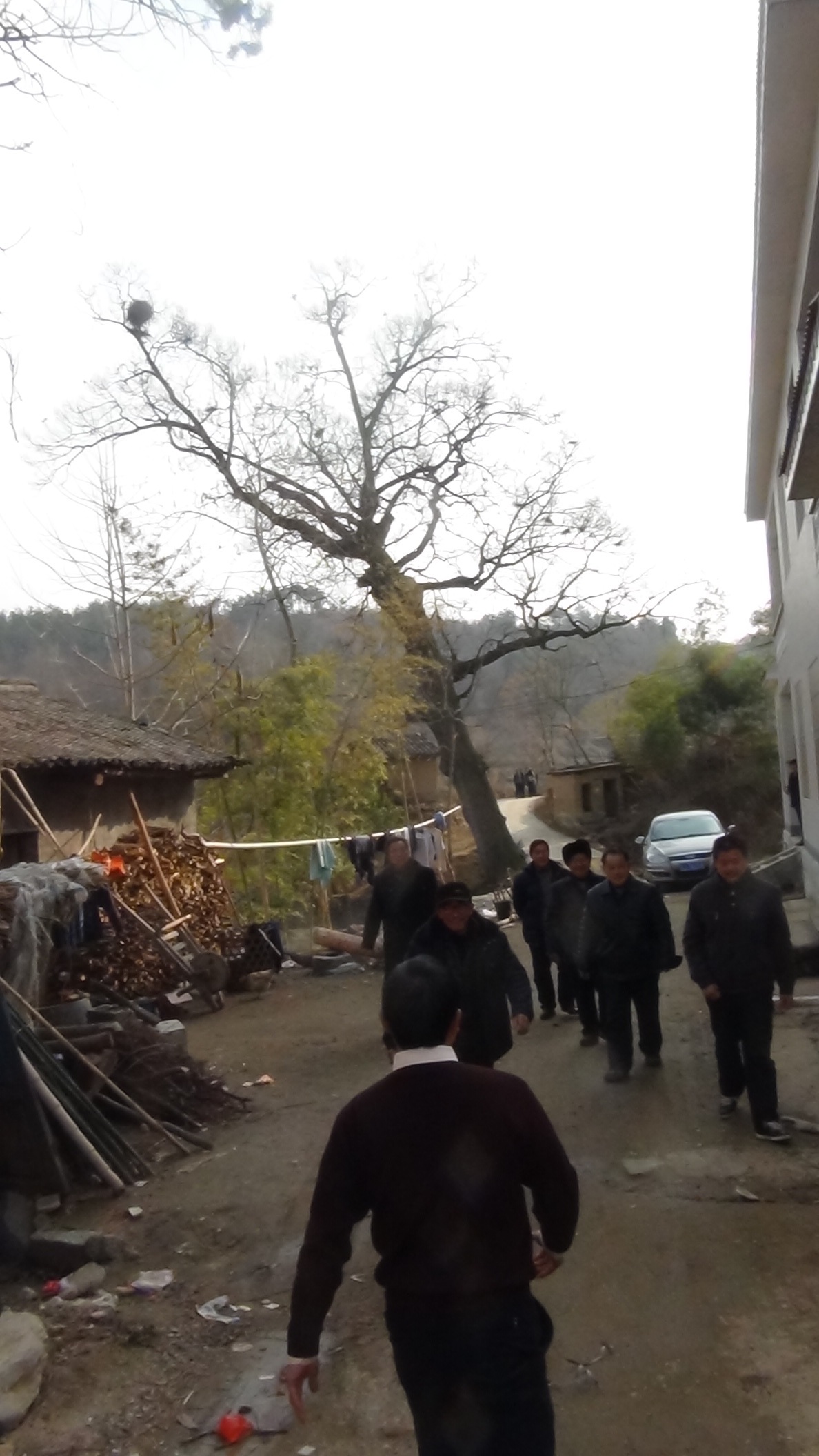 家亲汪家国迎过来了