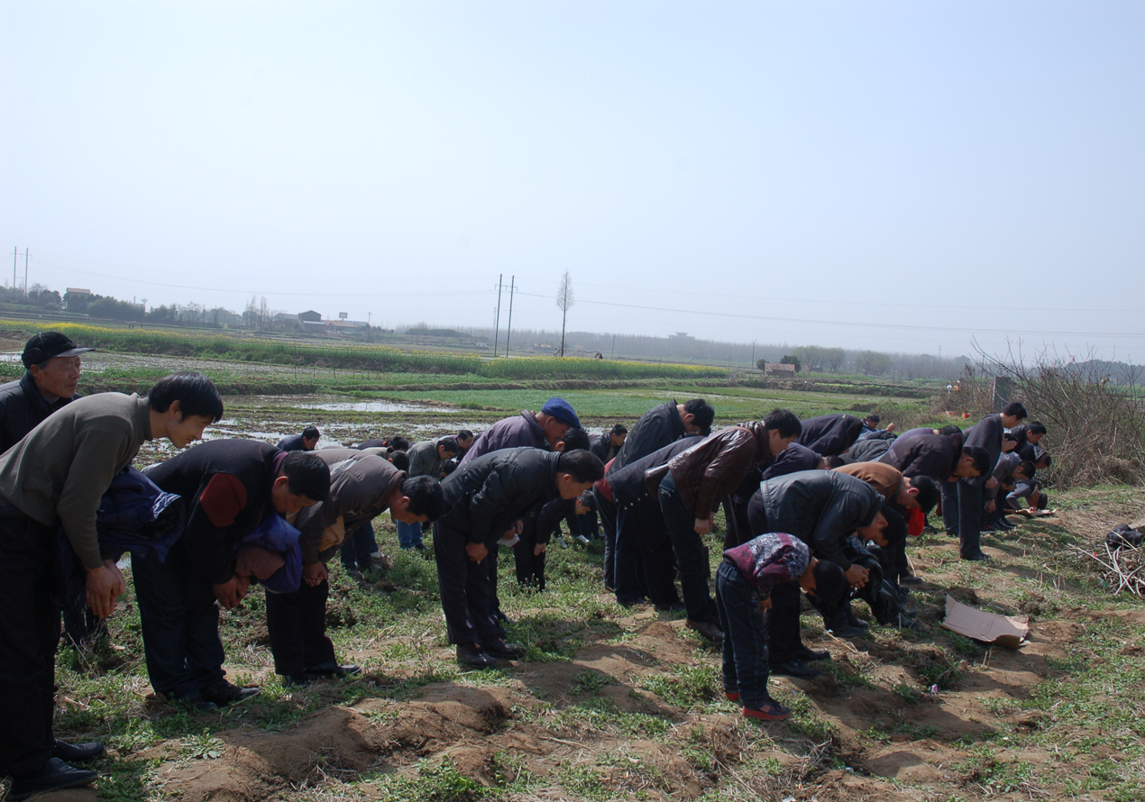 宗亲向列祖行礼