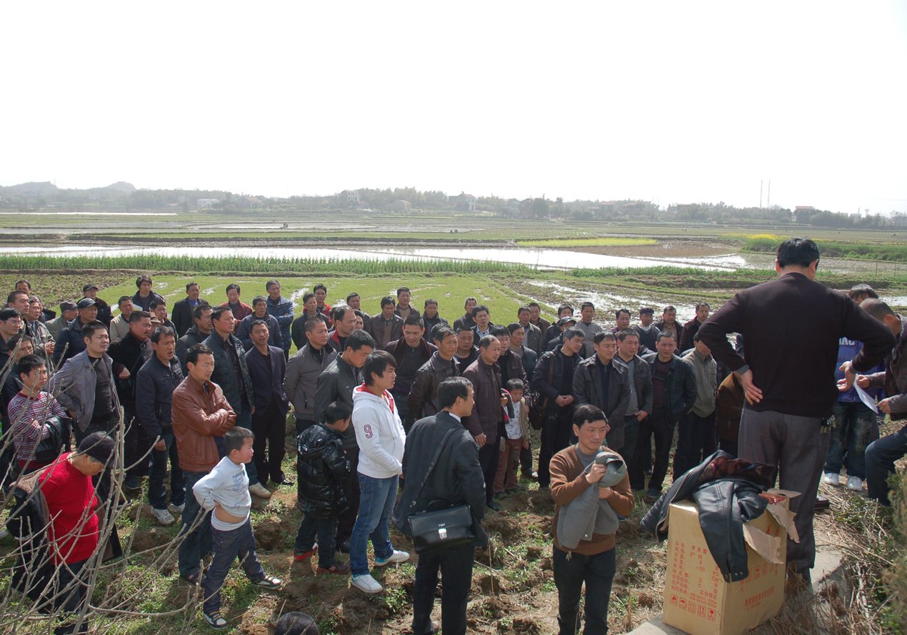 宗亲代表聚集先祖茔地