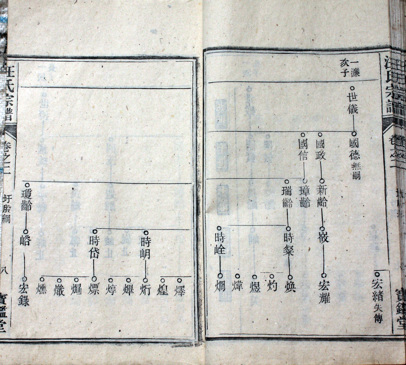 圩股派世系图［泰和堂］8