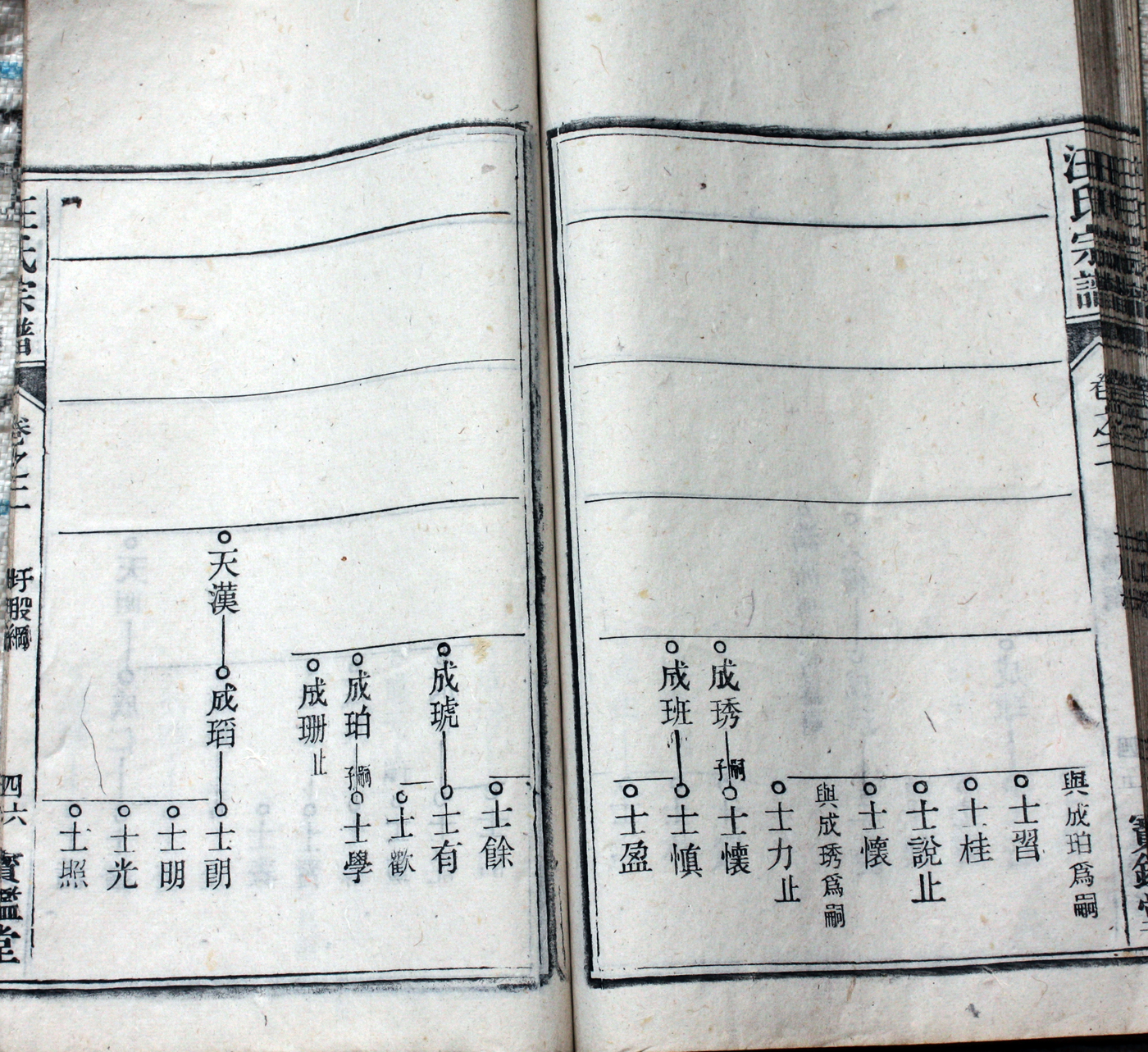 圩股派世系图 46