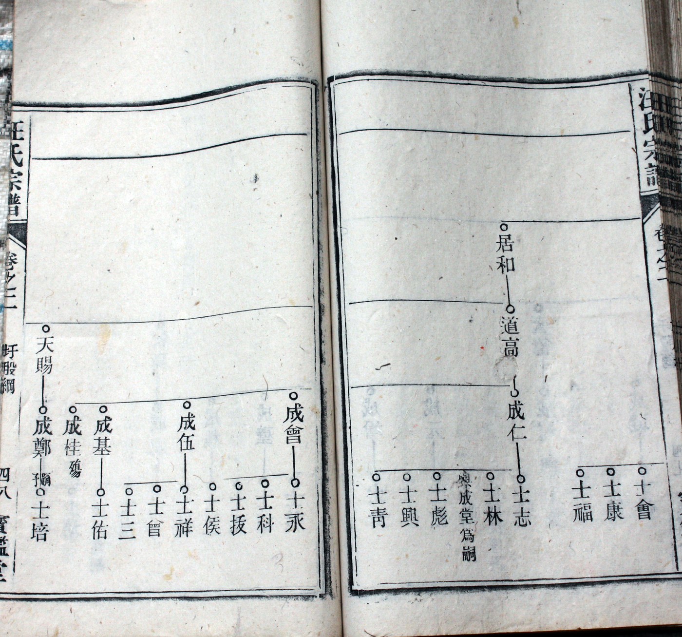 圩股派世系图 48