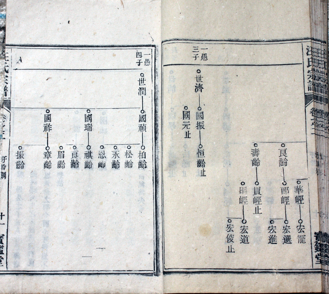 圩股派世系图 11