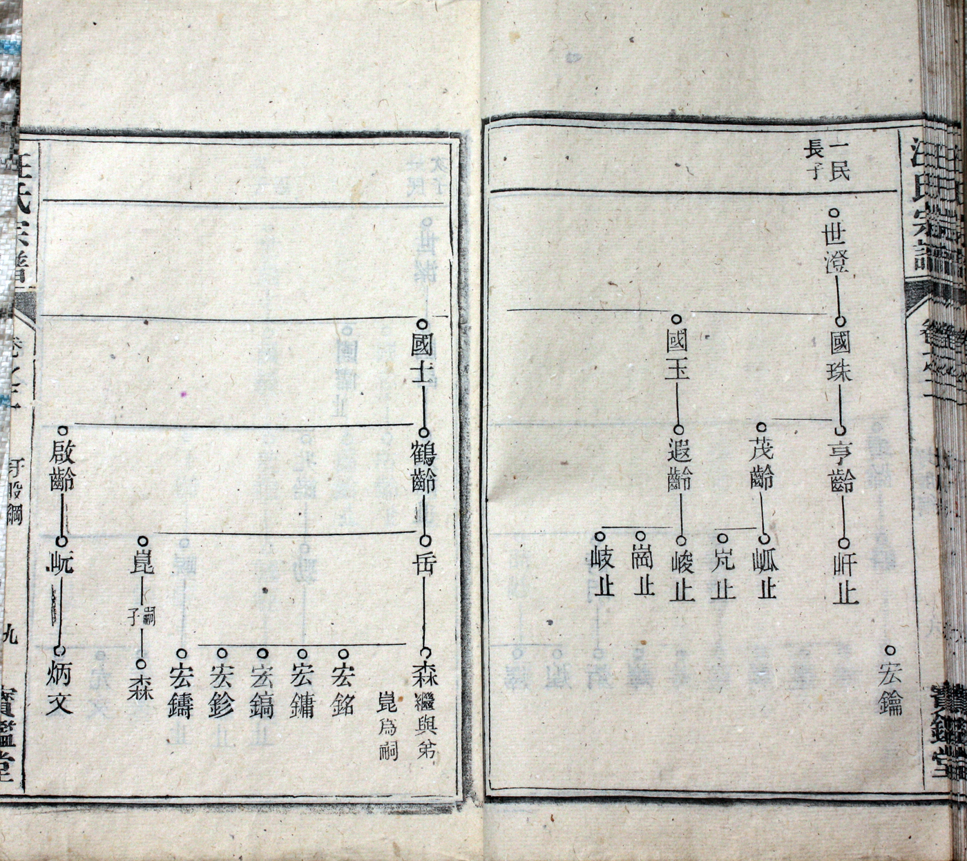 圩股派世系图 9